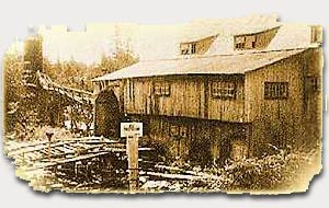 The Old Balaclava Sawmill