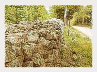 Old Stone Fence on The Opeongo Line