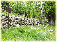 The Old Stone Fence on the Opeongo Line